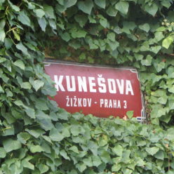 SVJ Kunešova